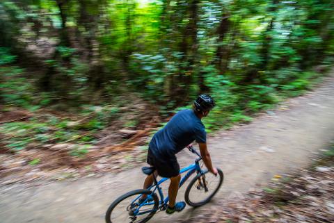 Full Day Premium Bike Hire