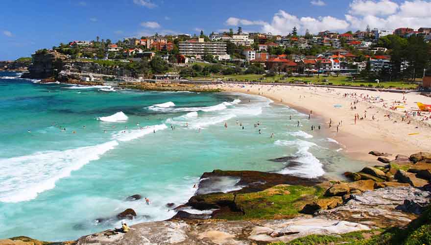 Sydney Custom Private Charter Tours