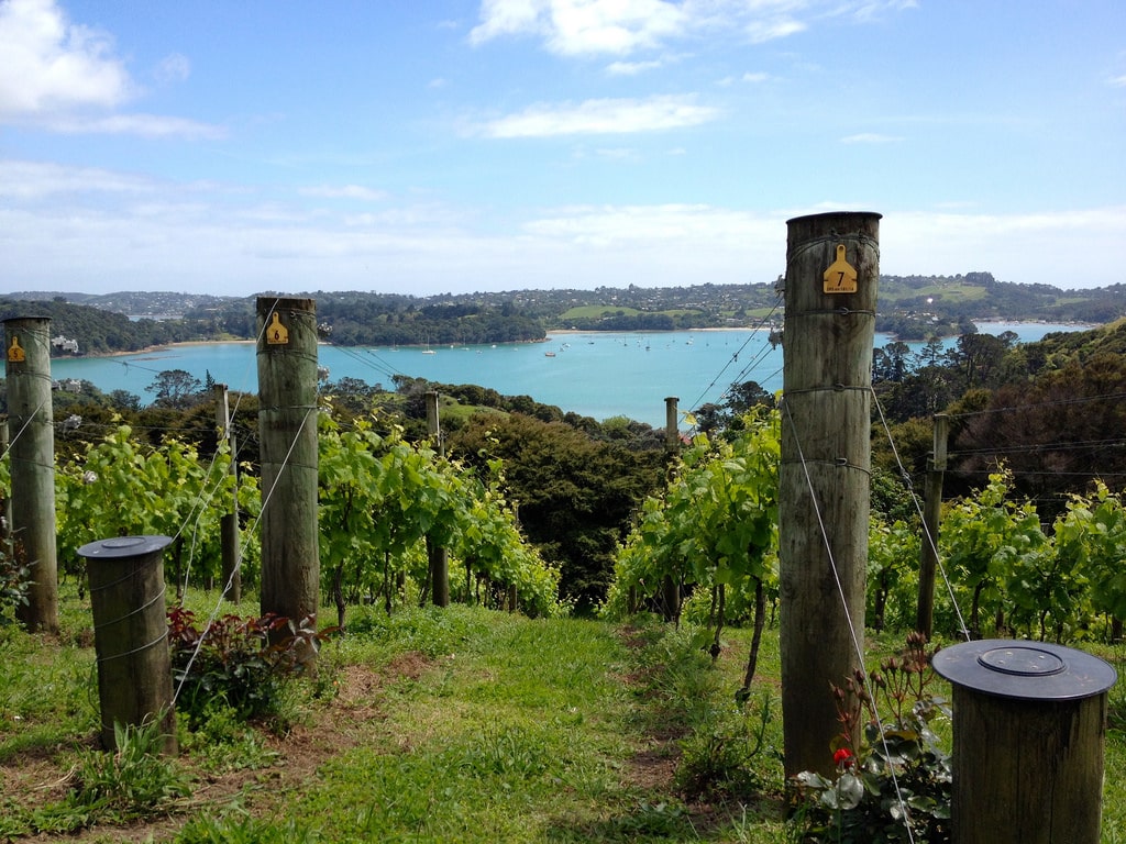 Waiheke ebike tour