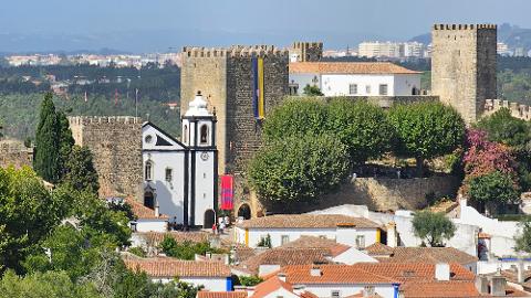 4.ovidos___foto_site_2__Luis_