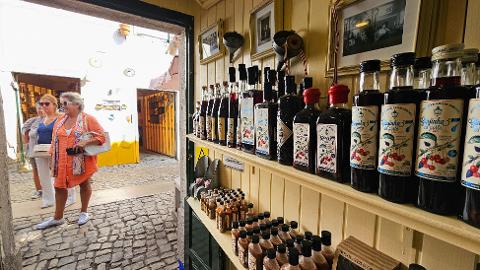 4.ovidos___foto_site_7__Luis_