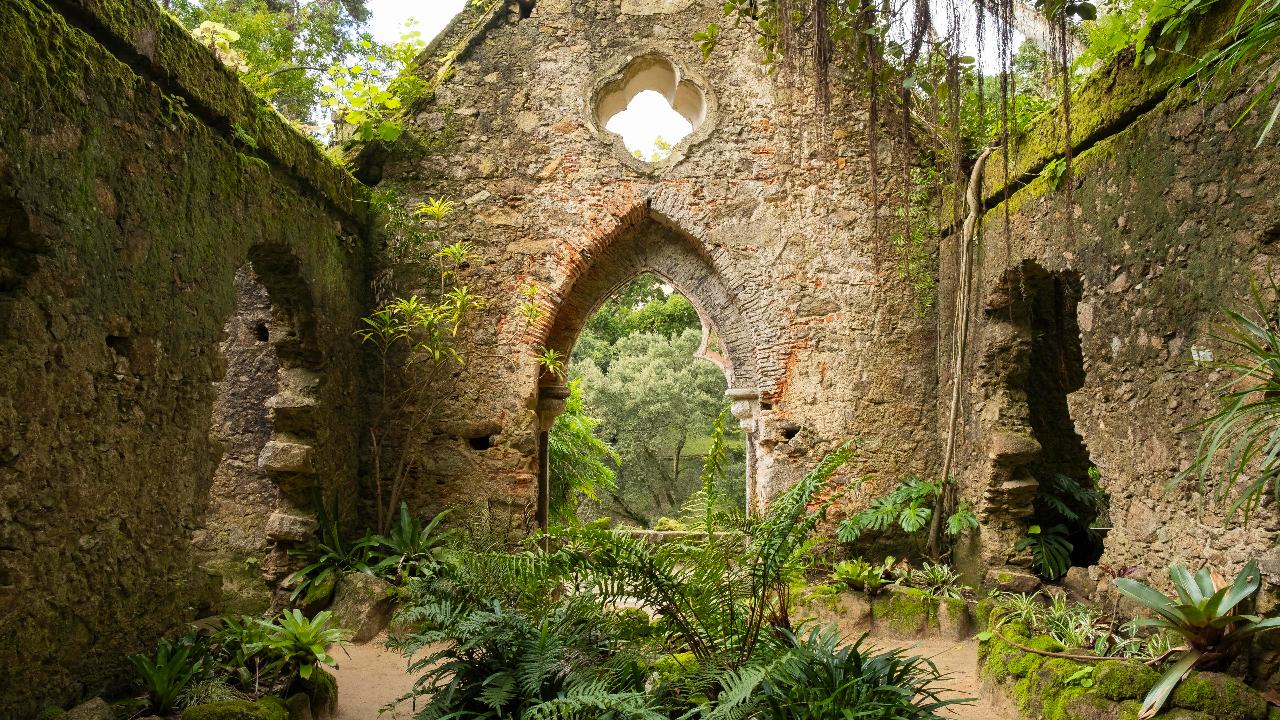 Forgotten Woods: the other side of Sintra | Shared