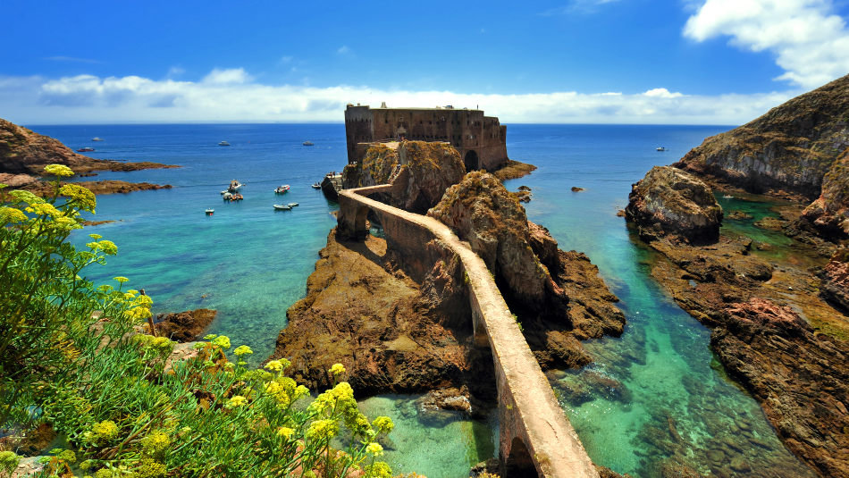 Atlantic Frontier: Berlenga Island Small Group Tour