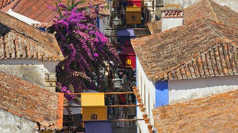 fe028ea5a9a84c11bb52efe8cb6905ae4.ovidos___foto_site_5__Luis_