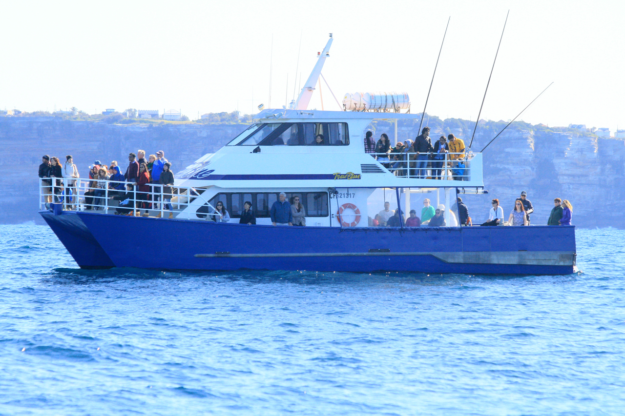 PRIVATE - Harbour Cruise - SYDNEY