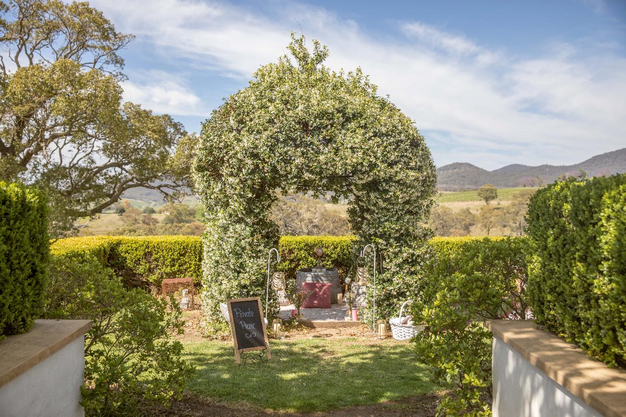 Premium picnic among the vines