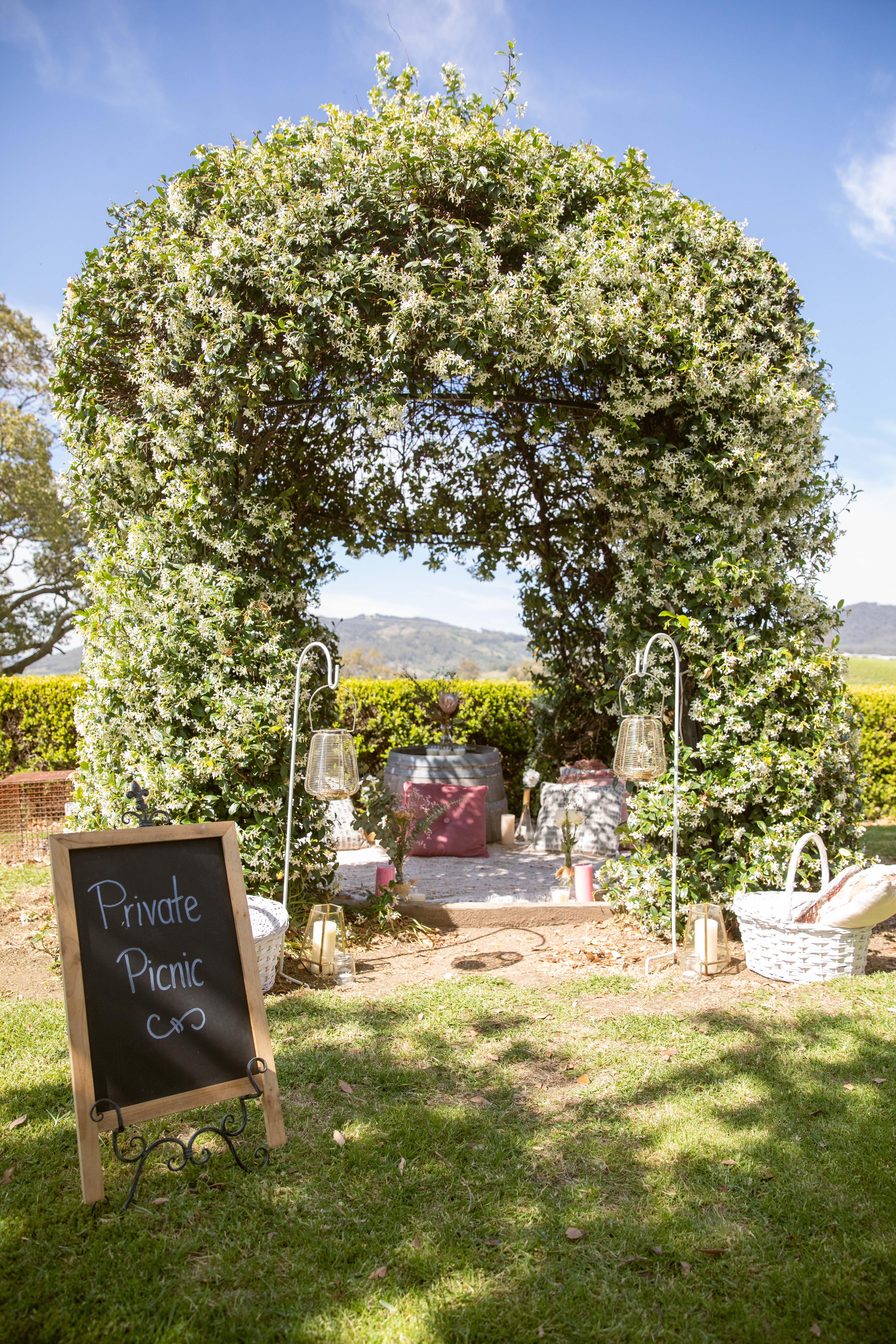 Premium picnic among the vines