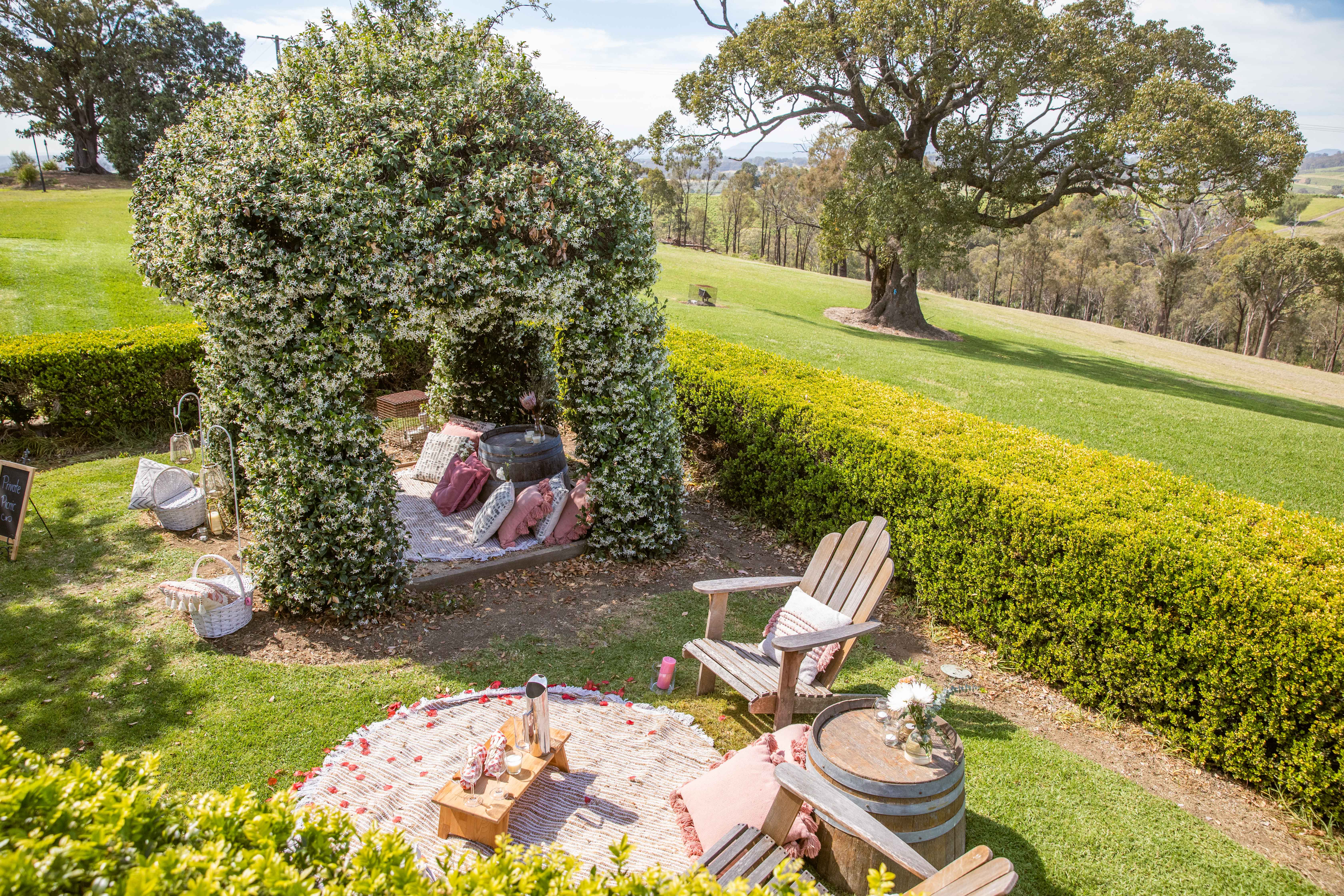 Premium picnic among the vines