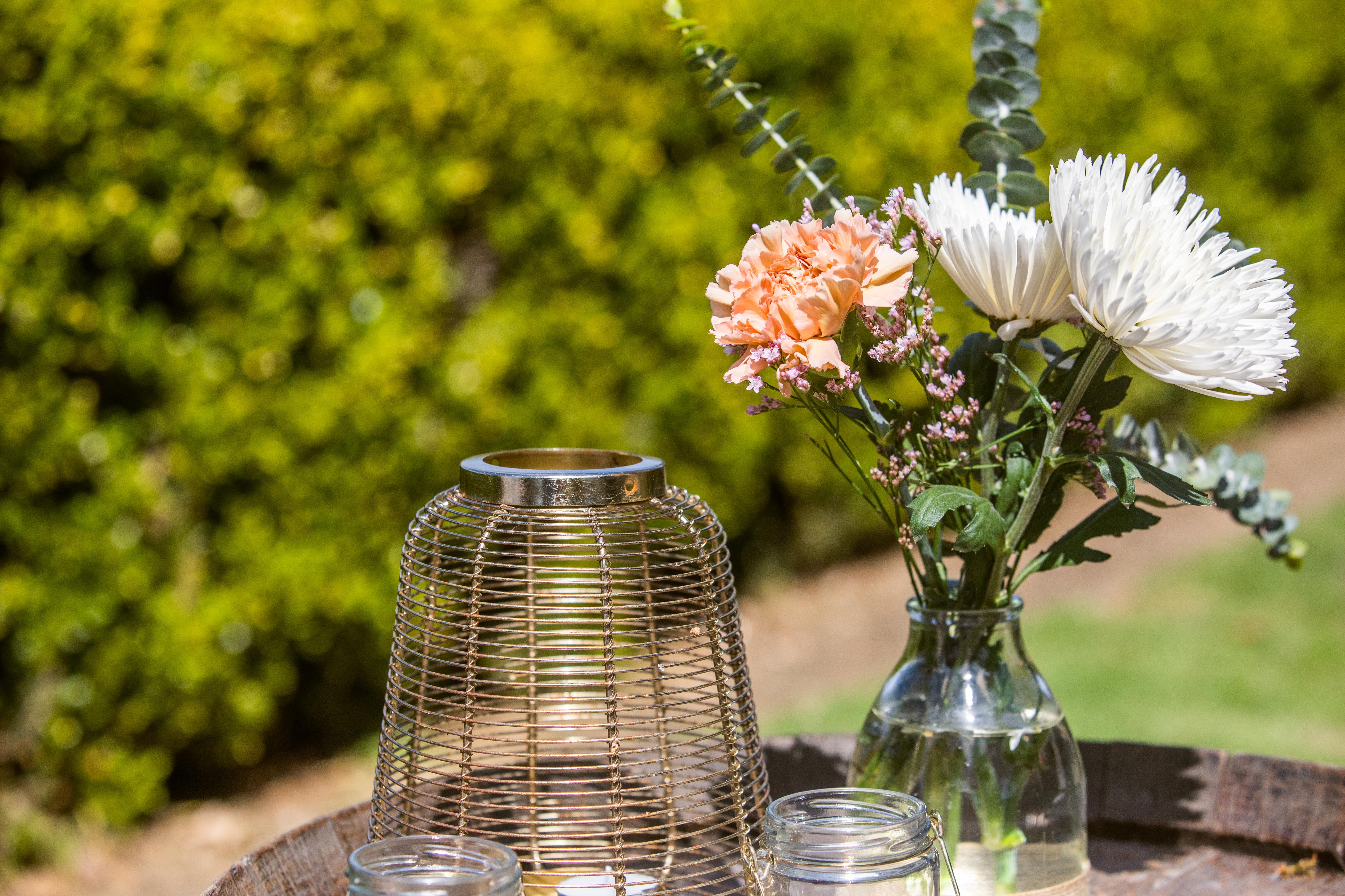 Premium picnic among the vines