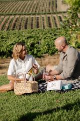 Picnic among the vines