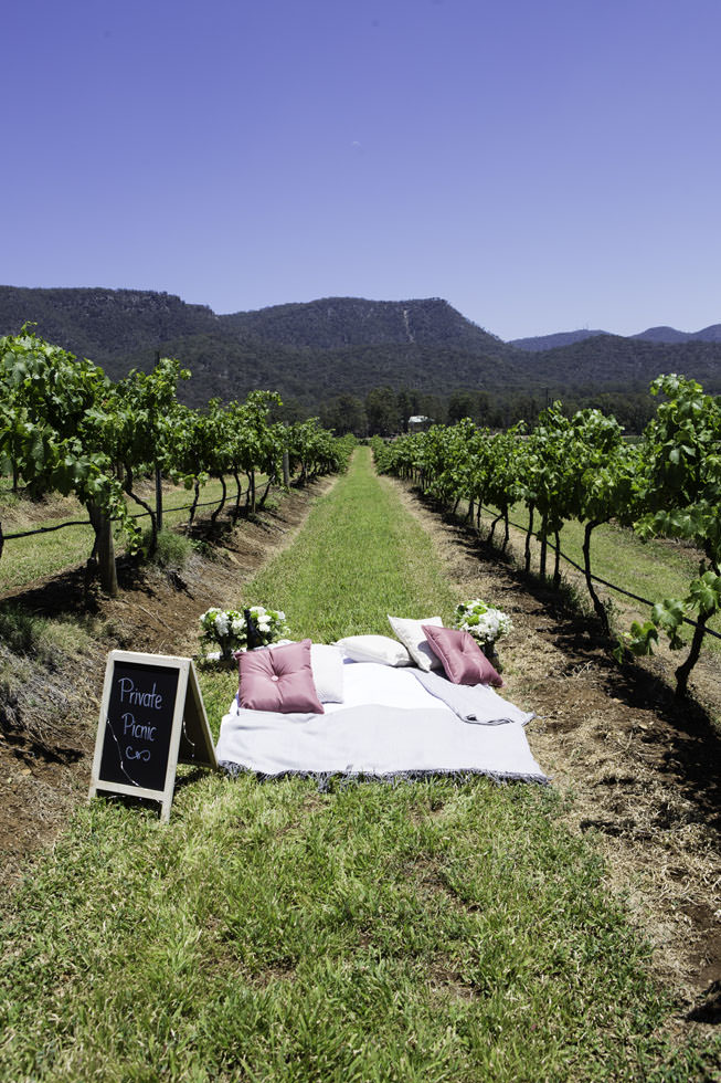 Premium picnic among the vines