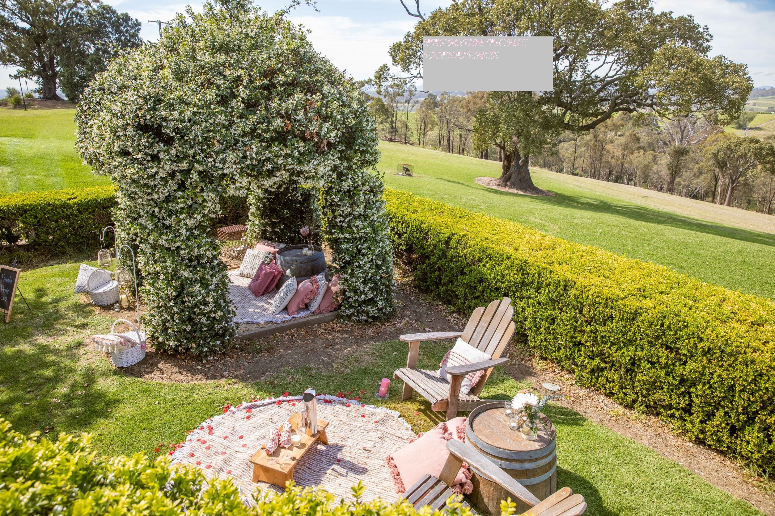 Picnic among the vines