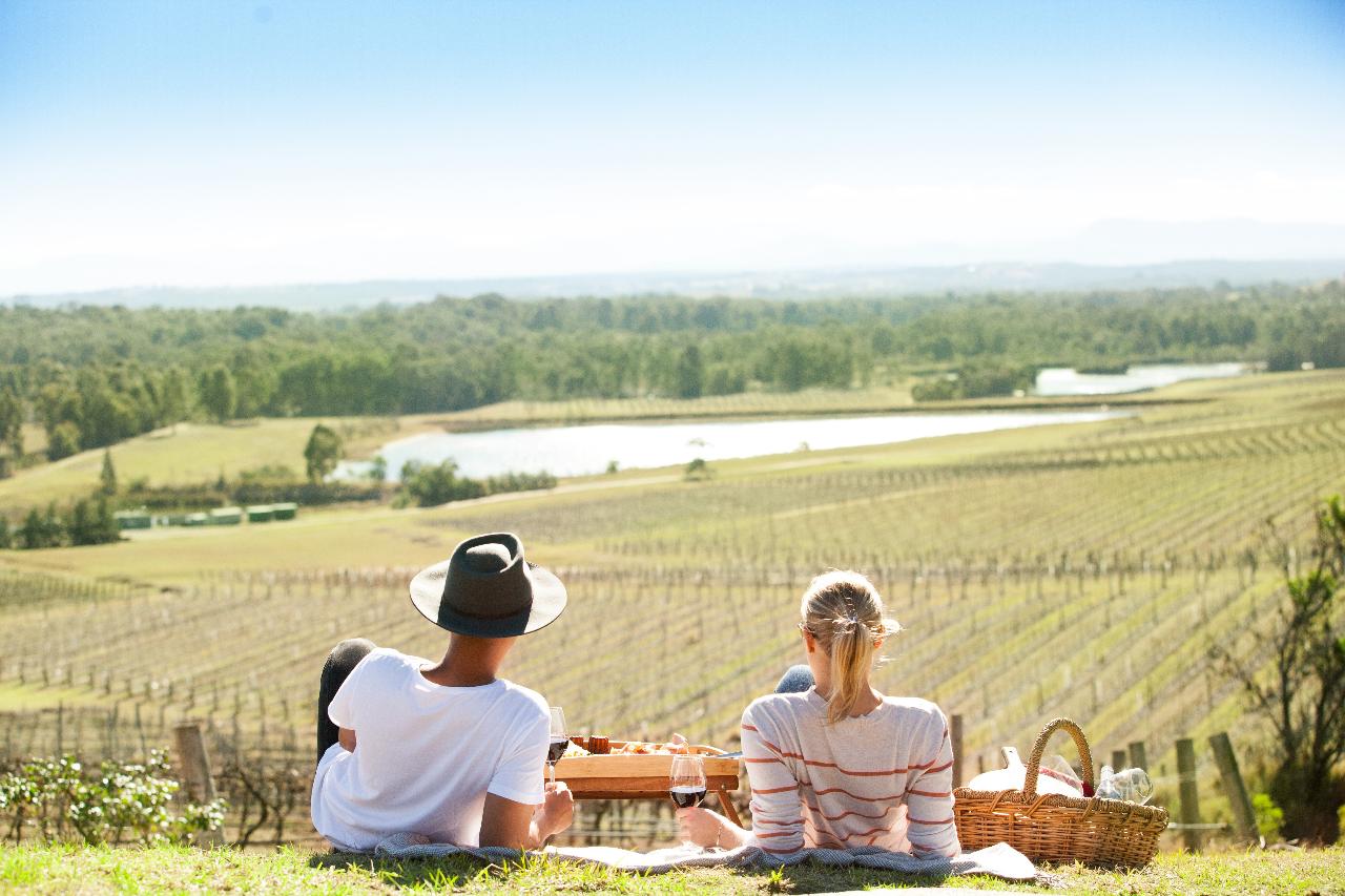 Picnic among the vines