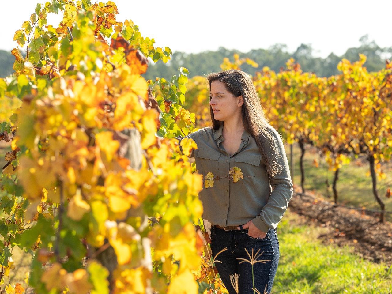 Behind the scenes winery tour