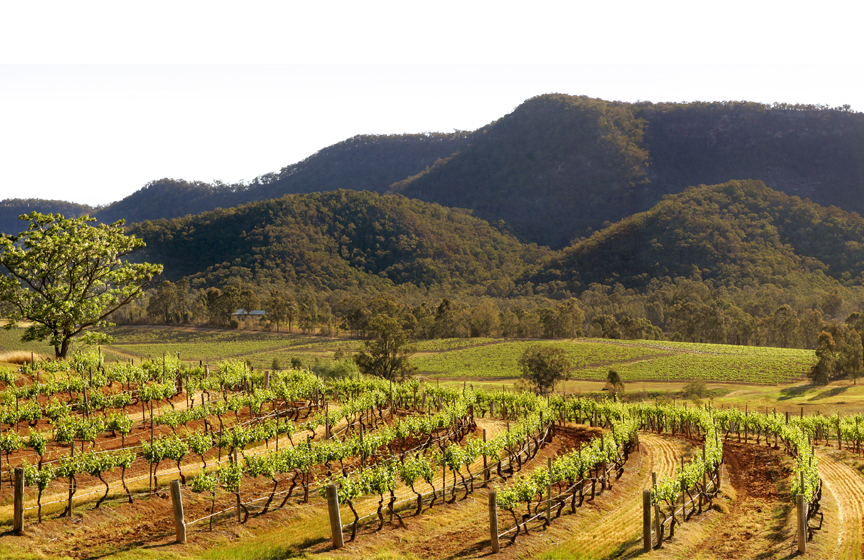 Icons of the Hunter Valley - 3 signature experiences at Audrey Wilkinson, Brokenwood and Tyrrells