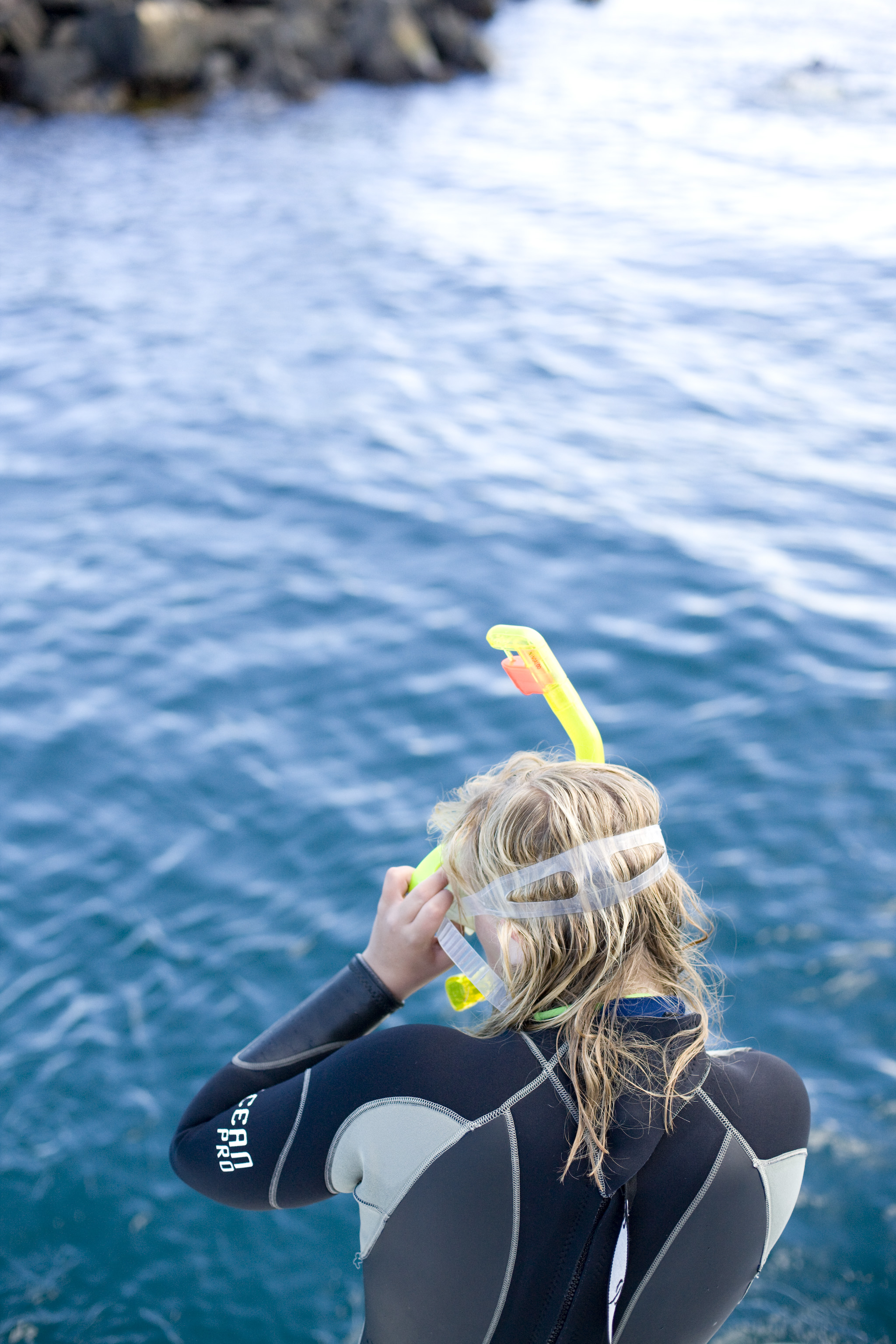 Breakfast or Lunch snorkel with the Seals