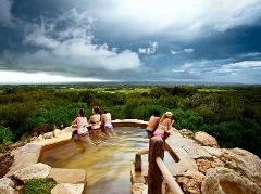 Dolphins, Seals and Hot Springs Experience 
