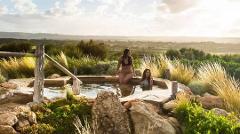 Seals, Sea Dragons and Hot Springs Experience 