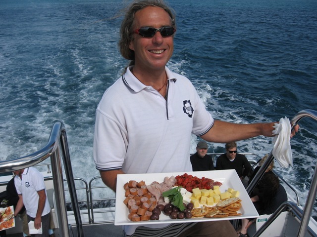 Small group Dolphin & Seal swim - Private charter