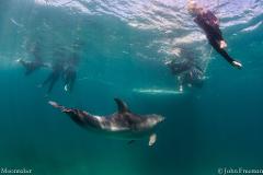 Thomas and Richard's Dolphin Swim