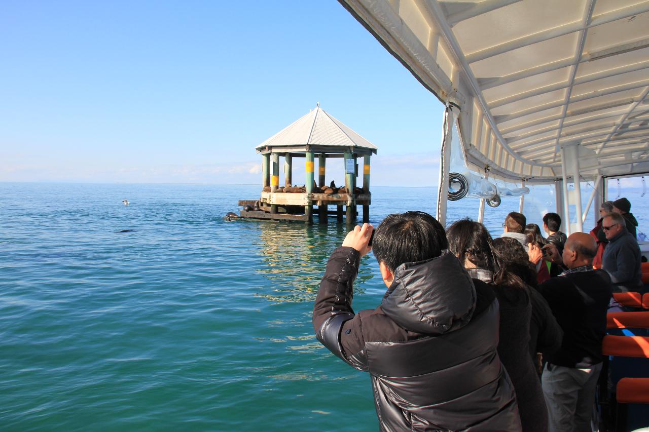 1.5 hour Scenic Wildlife Cruise Gift Card