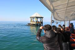 1.5 hour Scenic Wildlife Cruise Gift Card