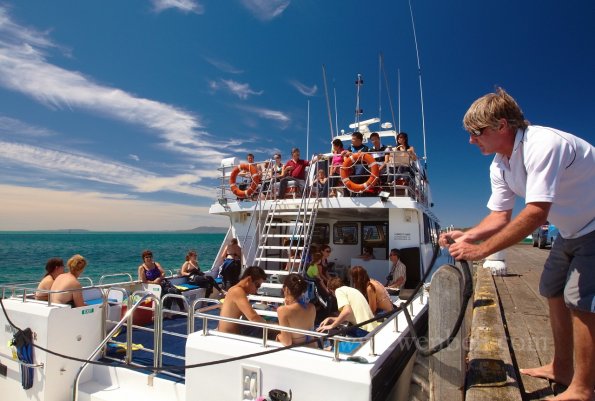 Breakfast or Lunch snorkel with the Seals