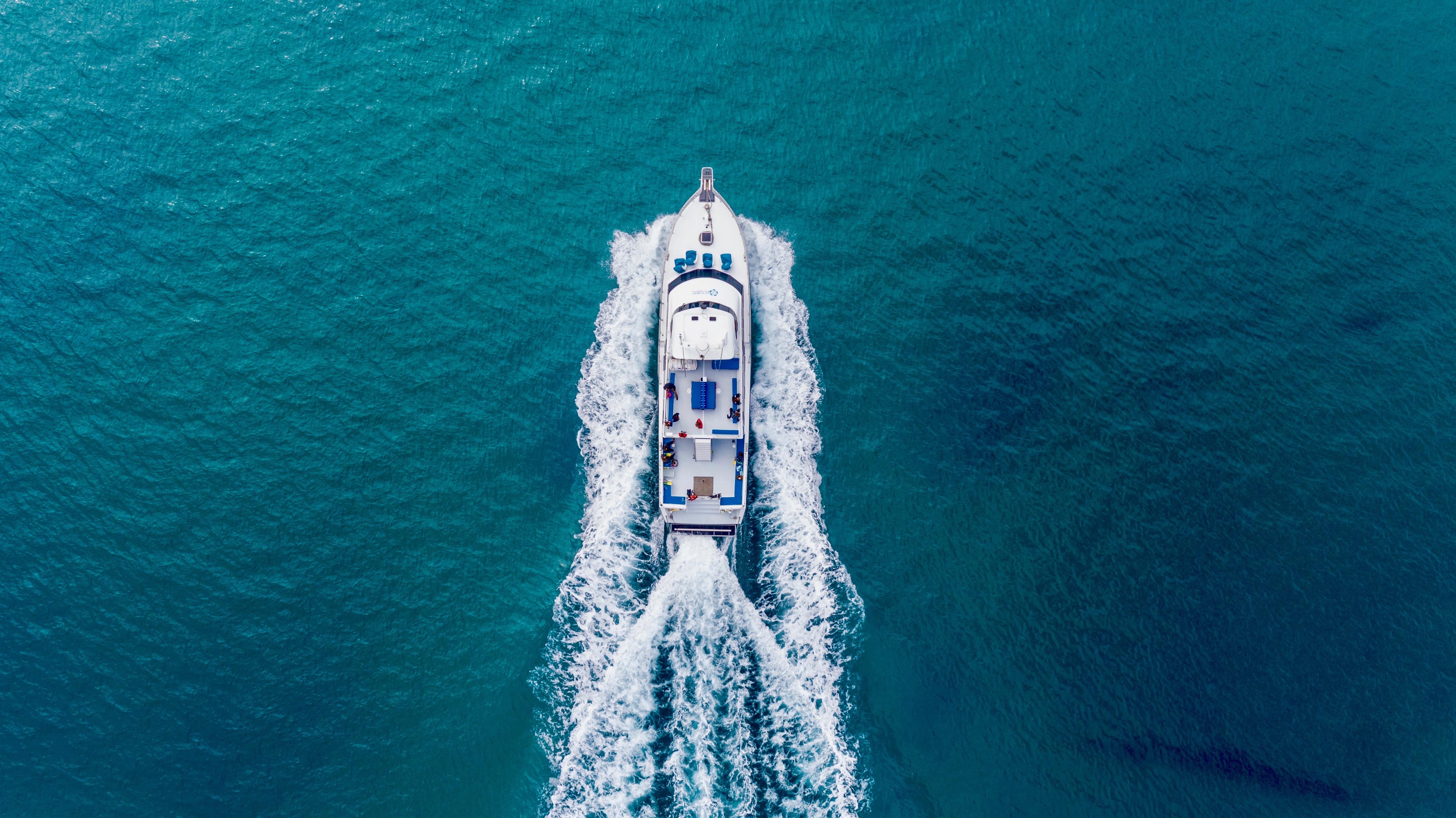 3 hour Dolphin Swim Private experience.