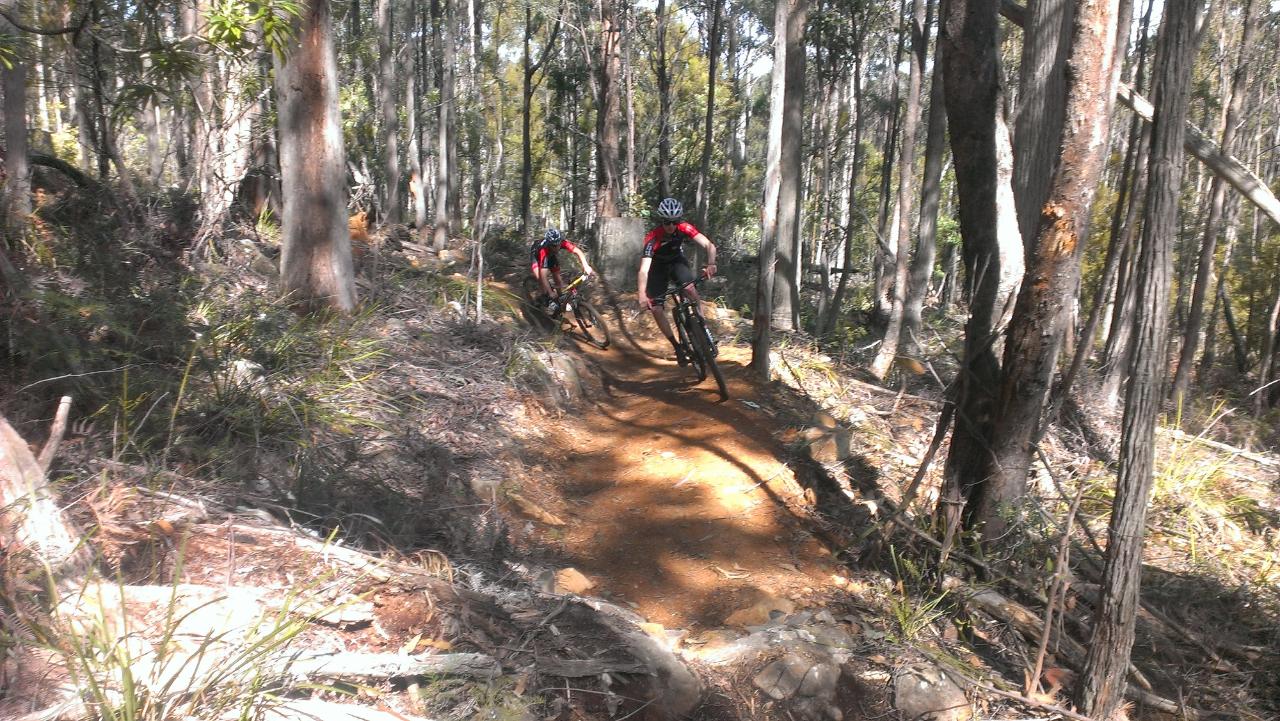 hollybank mountain bike park