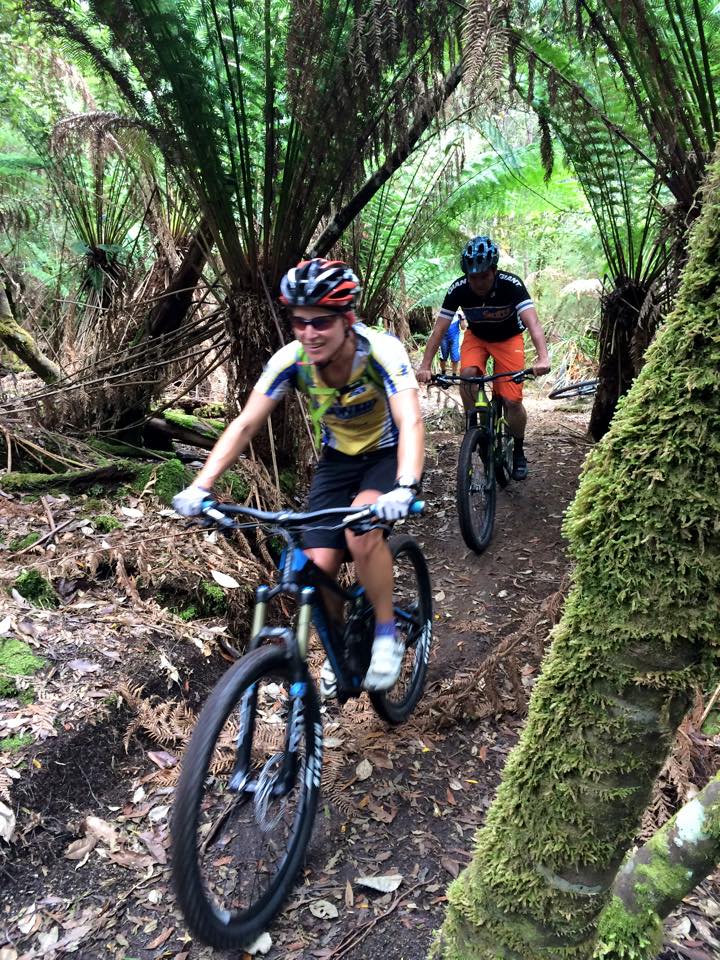 Cradle Mt/Dove River MTB Tour