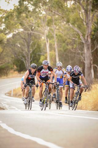 Tasmanian 3 Day Road Bike Tour