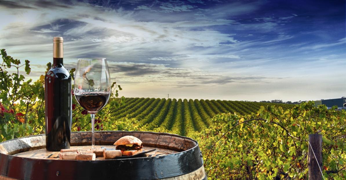 niagara wine tour hotel packages