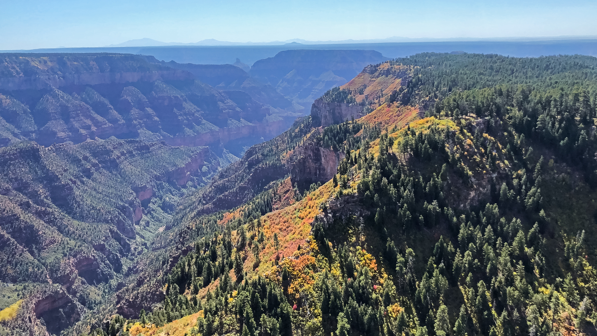 40-50 Minutes Grand Discovery Air Tour