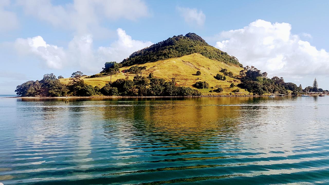 Afternoon Harbour Cruise. Tauranga City via inner islands and Omokoroa Peninsula 