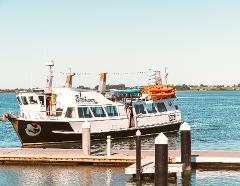 Childrens Day Cruise