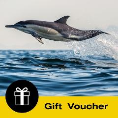 Gift Voucher: Dolphin & Wildlife Cruise - Half Day