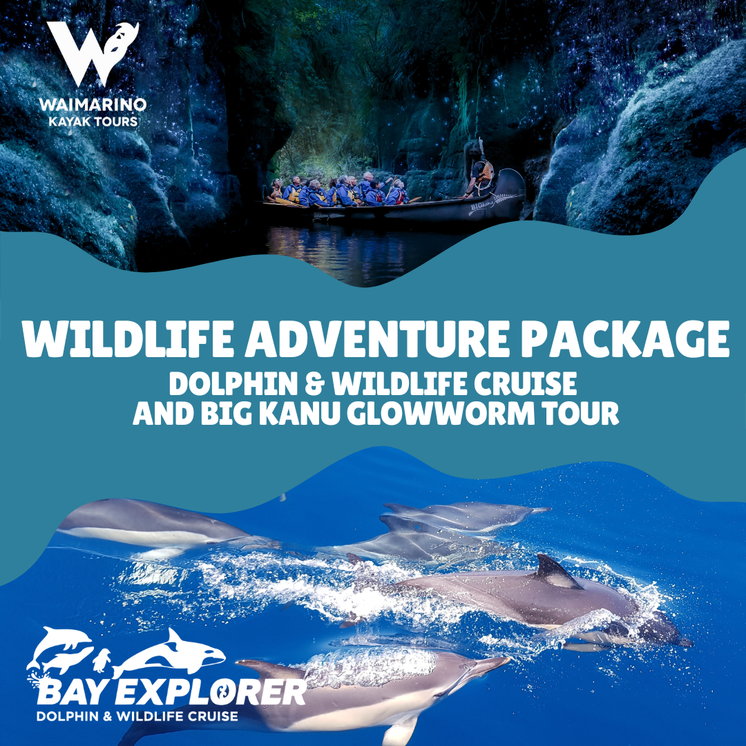 Wildlife Adventure Package