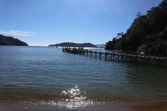 Queen Charlotte Track - 4 Day Gourmet Guided Walk