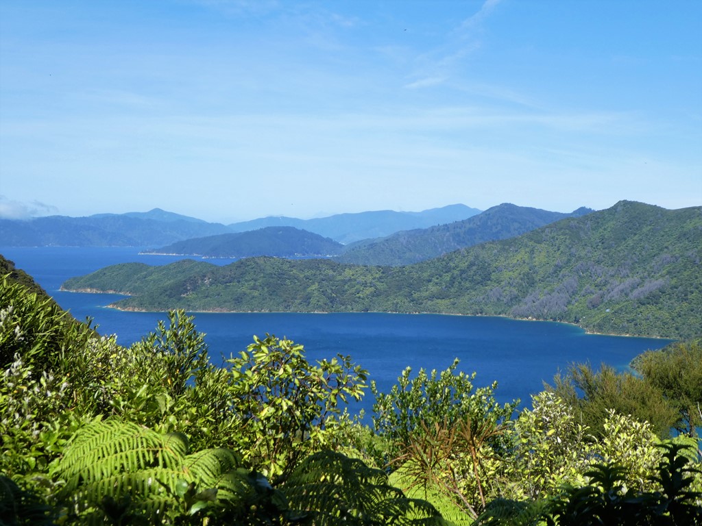 Queen Charlotte Track - 5 Day Upgrade Independent Walk (Walking each day)