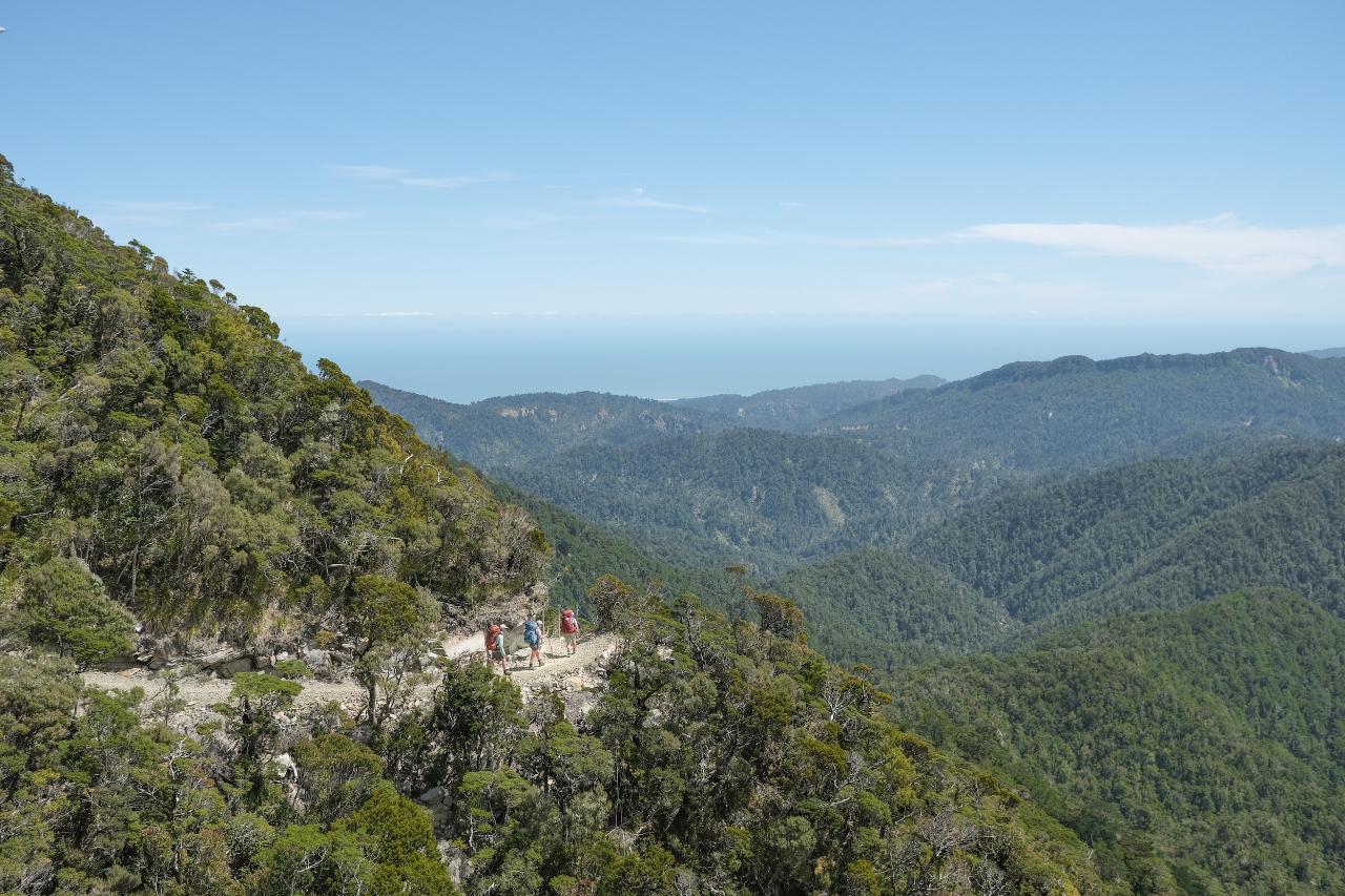 Paparoa Track 4 Day Guided Walk 