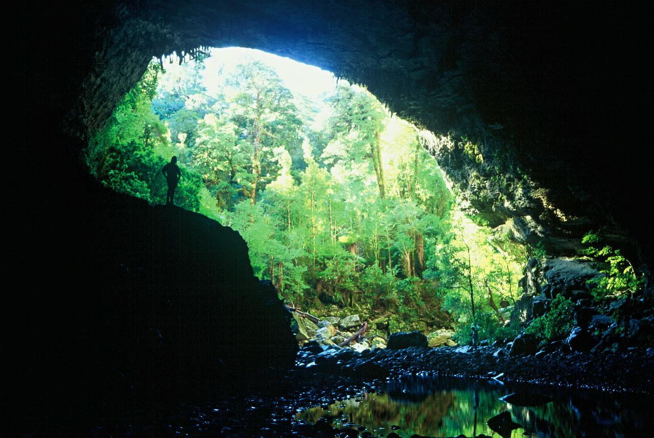Heaphy Track 4 Day Guided Walk