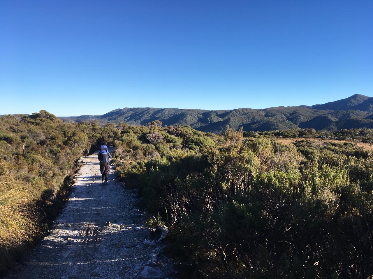 Heaphy Track 5 Day Guided Walk