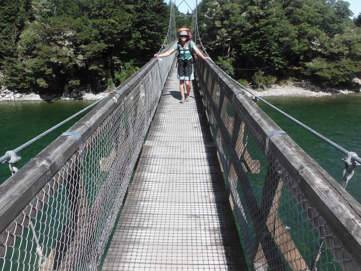 Kepler Track Half Day Guided Walk