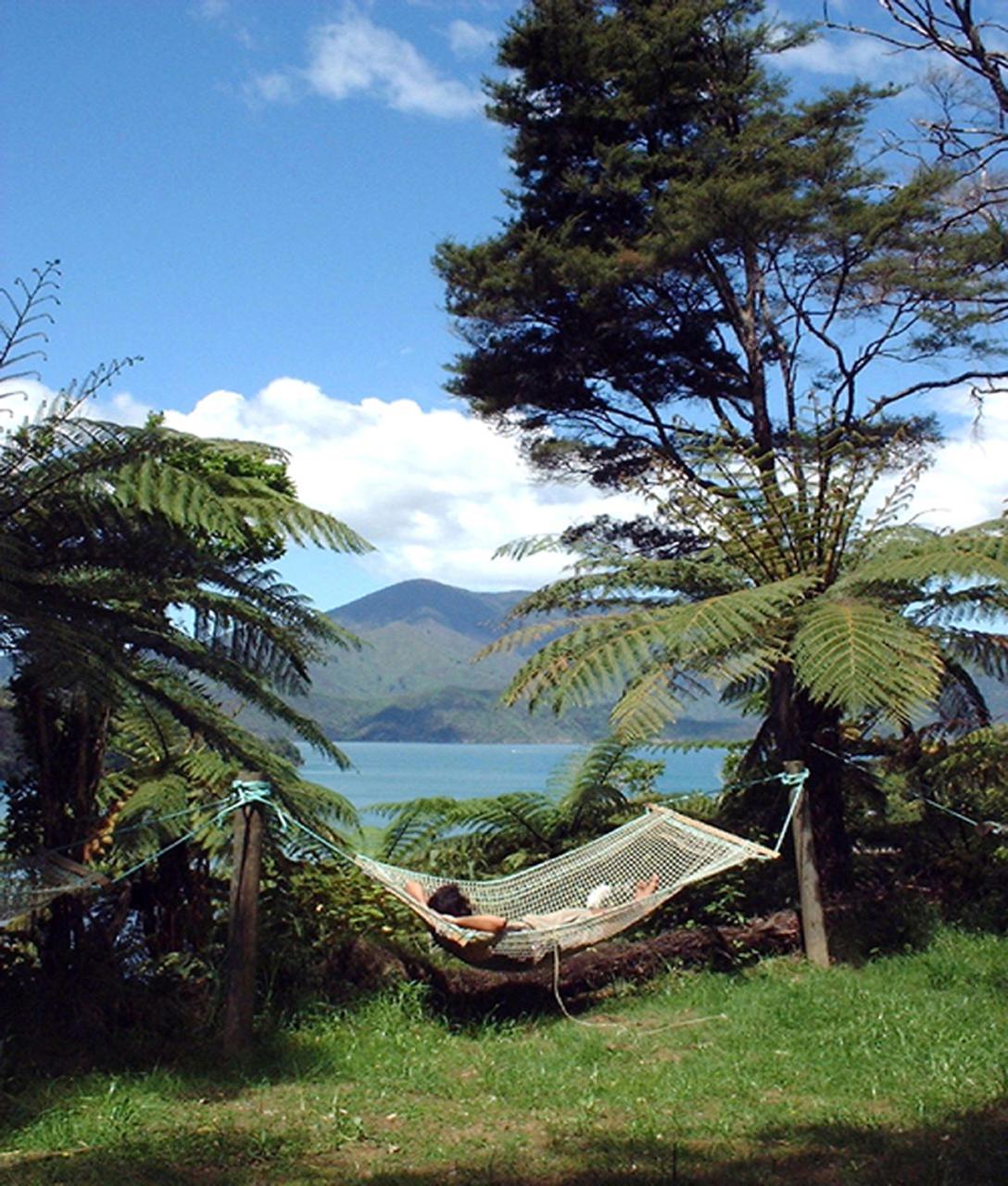 z. Queen Charlotte Track - 5 Day Deluxe Independent Walk - Furneaux Lodge, Mahana Lodge and 2 nights Lochmara Lodge 