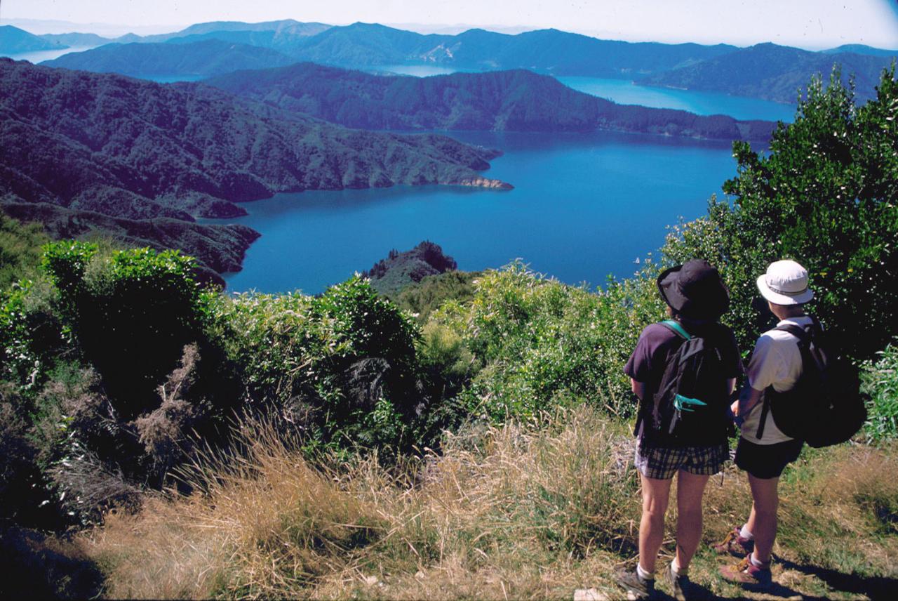 Queen Charlotte Track - 1 Day Guided Walk
