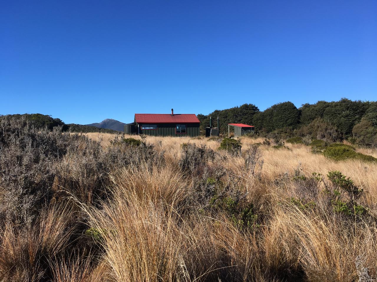 Heaphy Track 4 Day Guided Walk