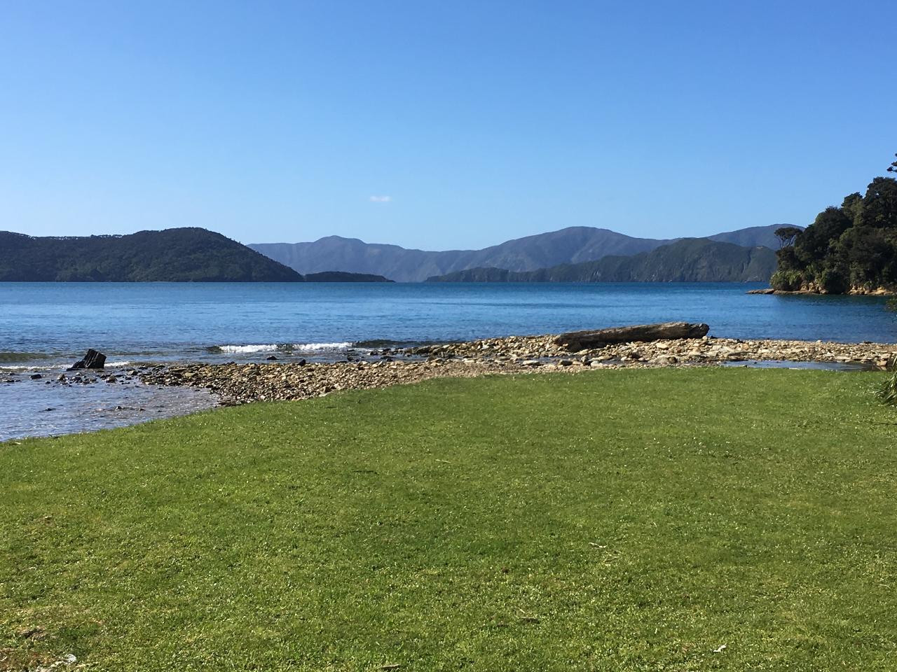 Queen Charlotte Track - 1 Day Guided Walk 