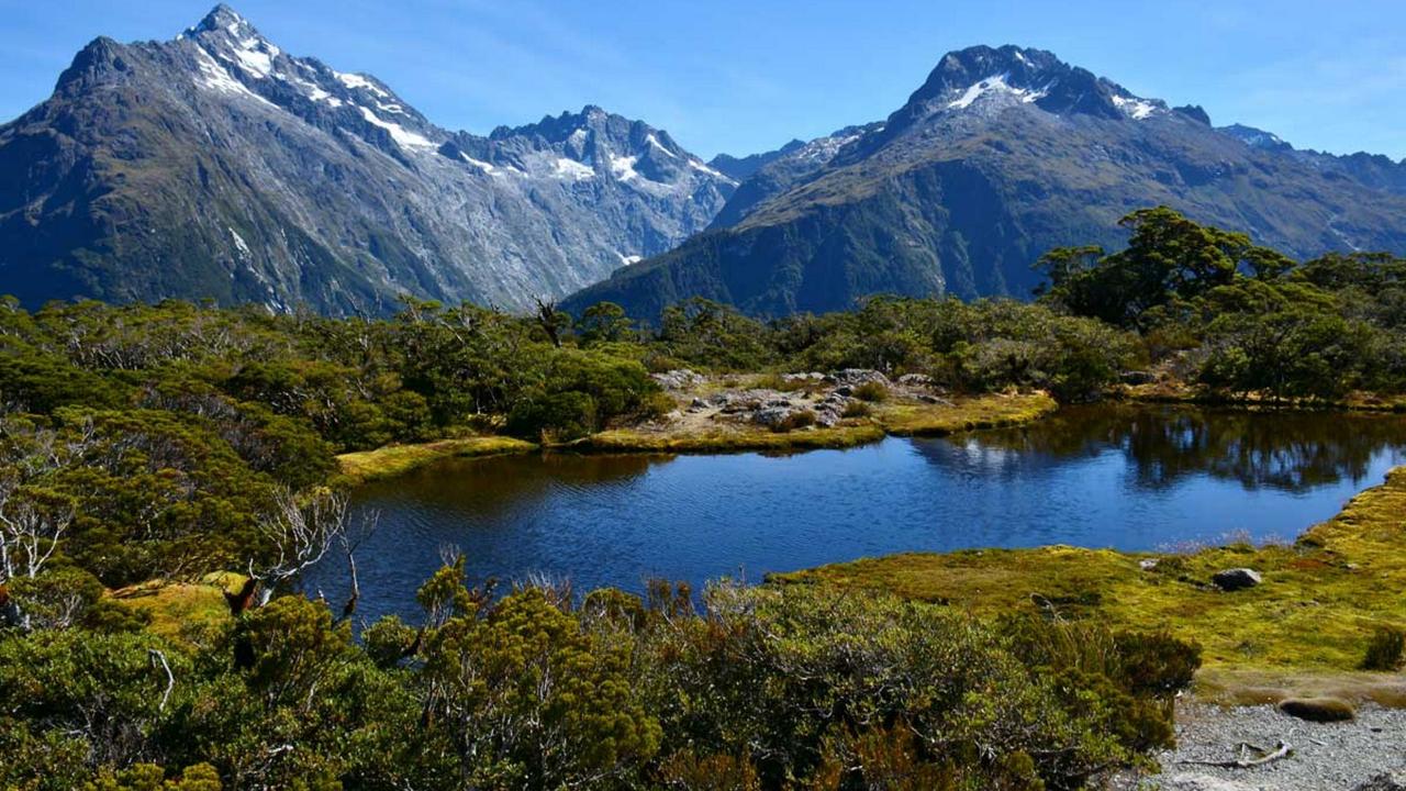 Routeburn Track 1 Day Guided Walk 