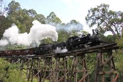 Puffing Billy and Moonlit Tour