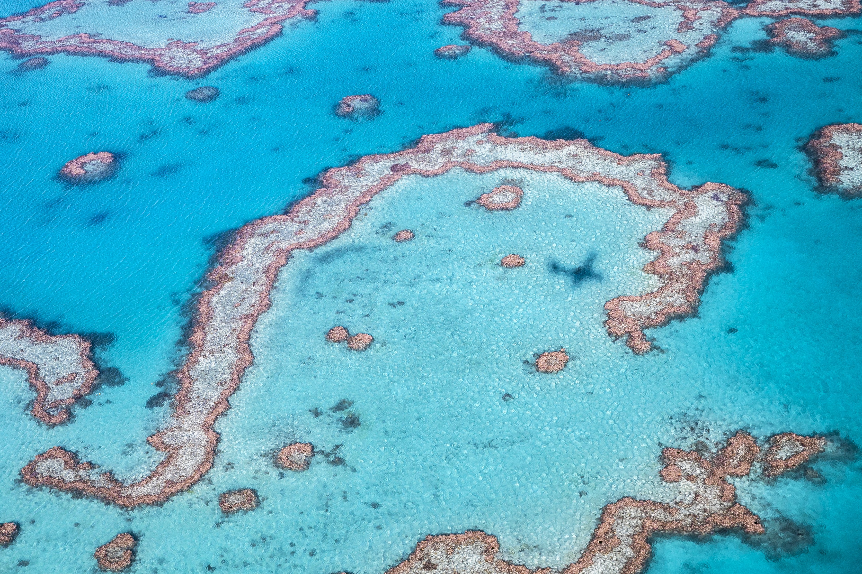 Ocean Rafting 1 hour Scenic Flight